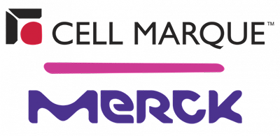 Cell Merck